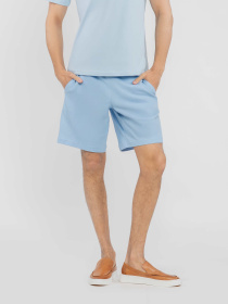 Повседневные шорты Arber модель M28.05.23.521 Фото