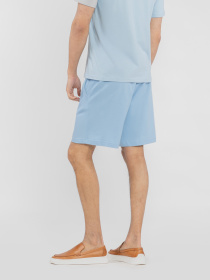 Повседневные шорты Arber модель M28.05.23.521 Фото