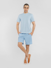 Повседневные шорты Arber модель M28.05.23.521 Фото