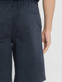 Повседневные шорты Arber модель M29.40.09.521 Повседневные шорты Arber модель M29.40.09.521 Фото