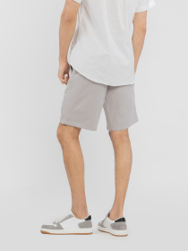 Повседневные шорты Arber модель M29.41.12.521 Повседневные шорты Arber модель M29.41.12.521 Фото