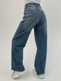 Прямі джинси ISSA Plus модель WN20-700_голубой Фото