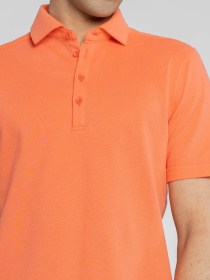 Поло Arber модель M14.14.37.521 Фото