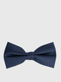 Бабочка Arber модель M12.19.09.511 Фото