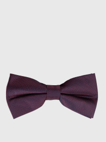 Бабочка Arber модель M12.20.18.511 Фото