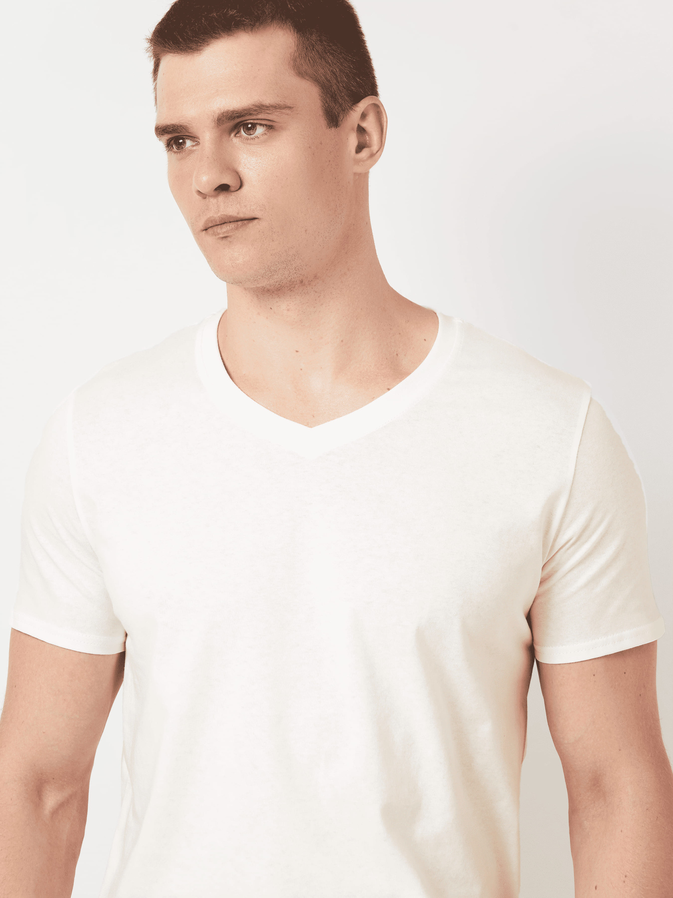 Футболка Роза модель 240444_gardenia Фото