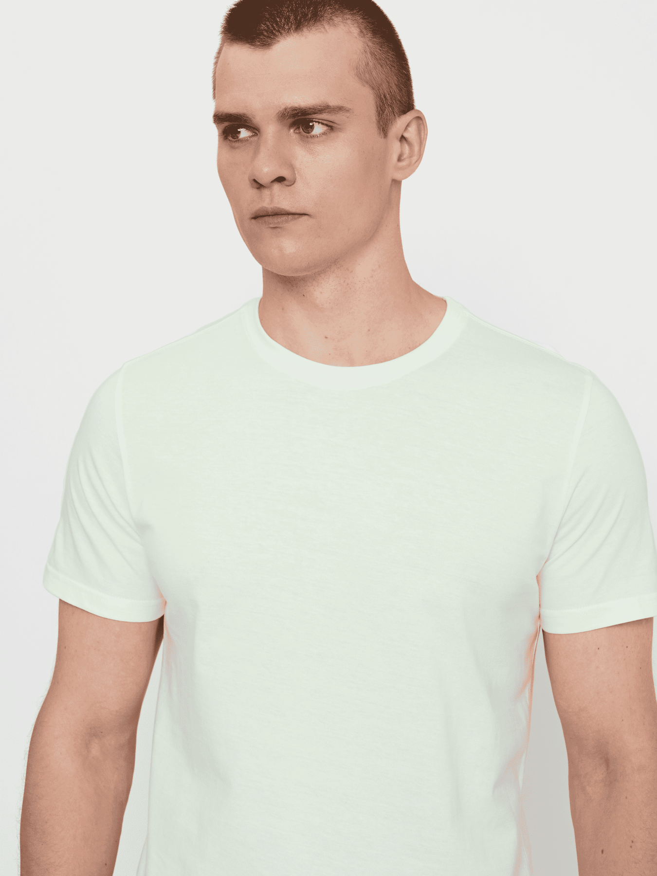 Футболка Роза модель 210135_light_green Фото