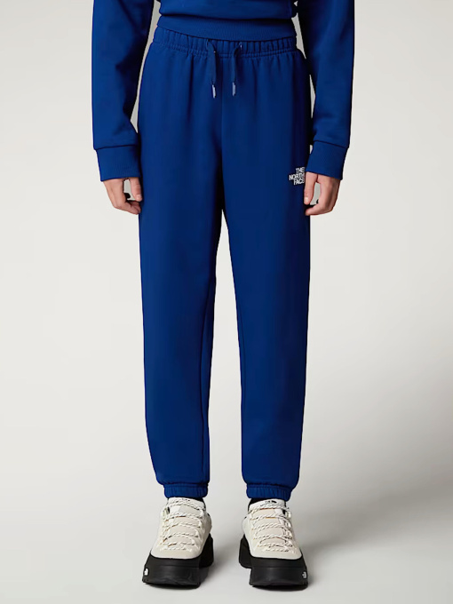 Брюки The North Face модель NF0A8BHTD1R1 Фото
