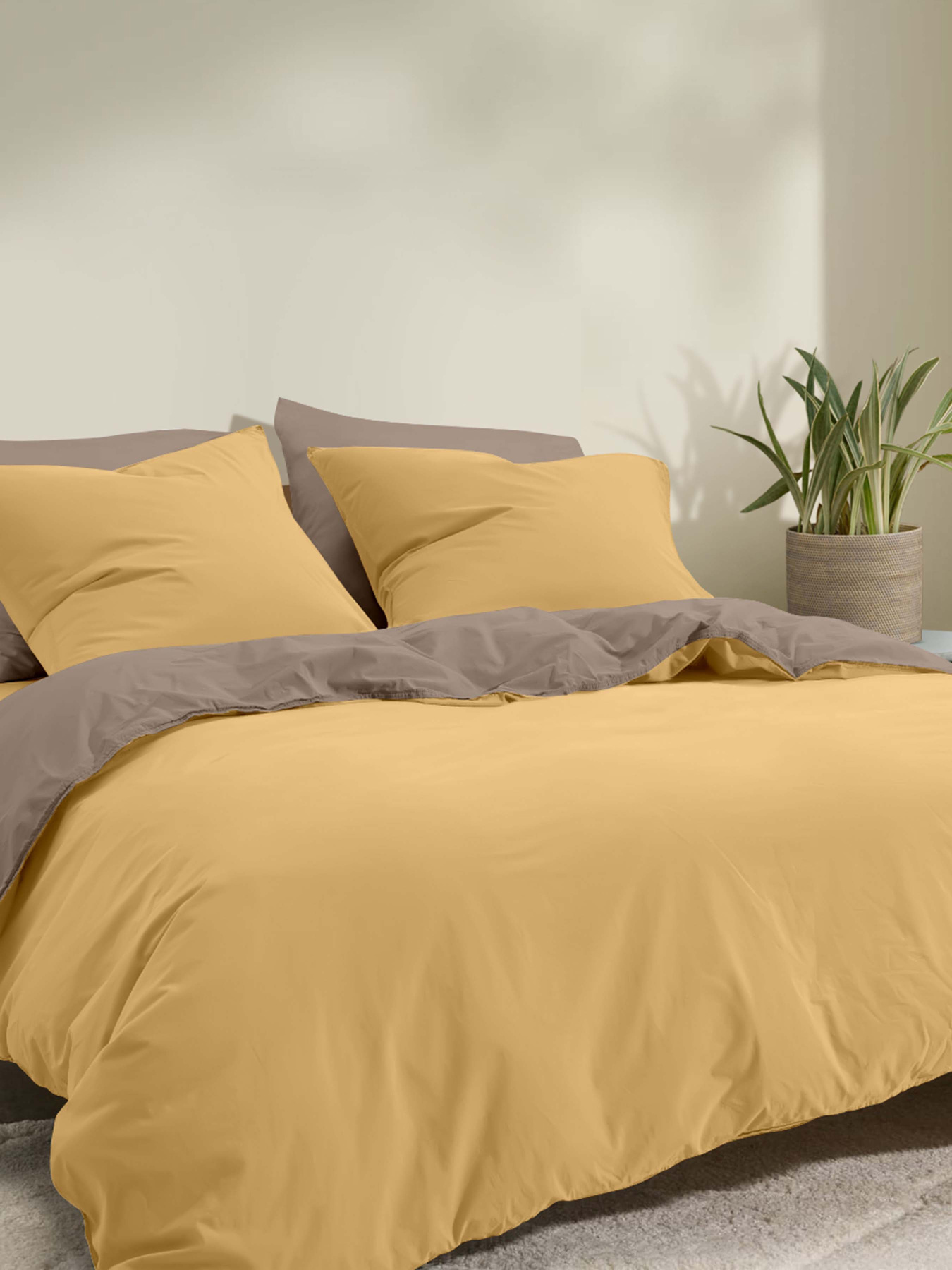 Підковдра ранфорс ESPRESSO HONEY Cosas модель DuoRfr_11Honey-15Espresso_160q Фото