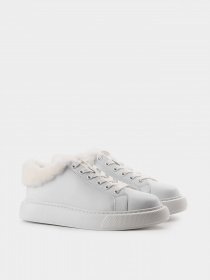 Кеды низкие Basconi модель 00000013877 Фото