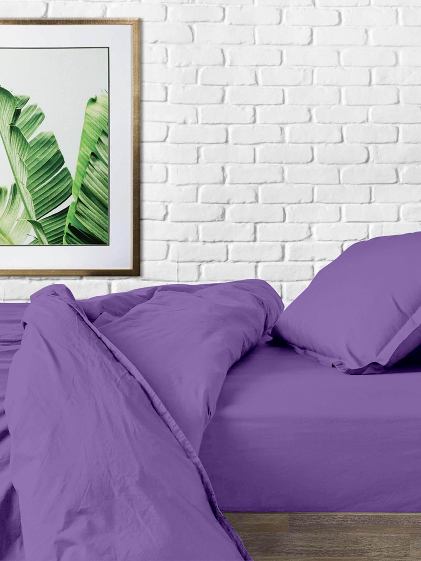 Підковдра ранфорс LIGHT PLUM Cosas модель Ranfors48_PlumLight_140q Фото