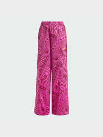 Повсякденні штани Adidas модель JD6295 Повсякденні штани Adidas модель JD6295 Фото