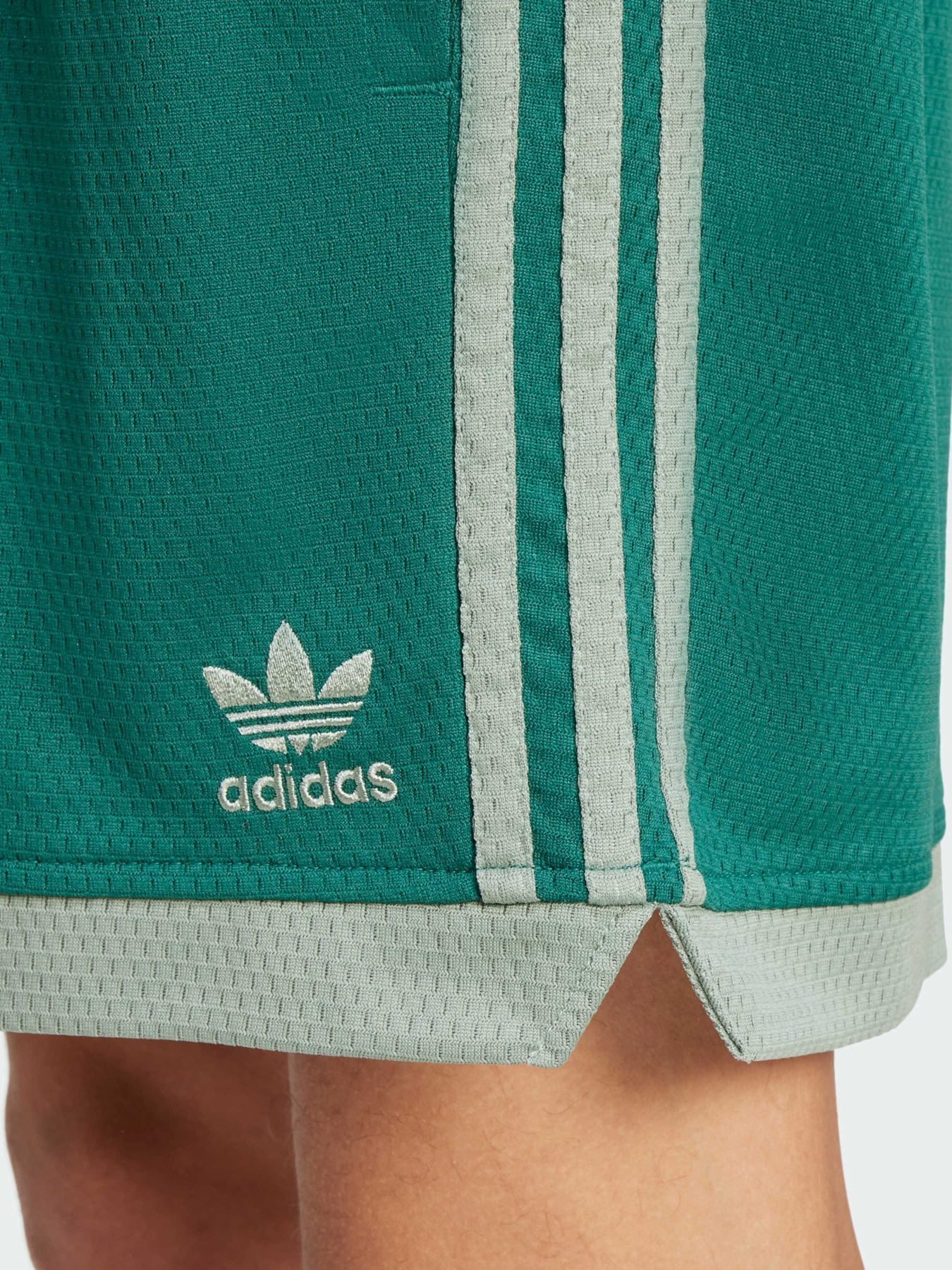 Повсякденні шорти Adidas Adicolor модель JP1101 Фото