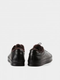 Кеди низькі LeBERDES модель 00000013908 Фото