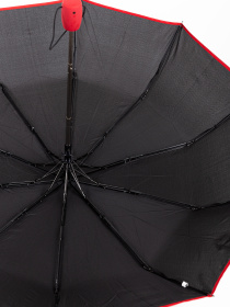 Зонты Famo модель PK-NA-18314_02 Фото