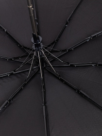 Зонты Famo модель PK-NA-18314_01 Фото