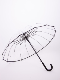 Парасольки Famo модель PK-NA-310_01 Фото