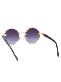 Очки Famo модель A2446_03 Фото