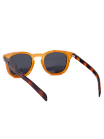 Очки Famo модель A7004P_03 Фото