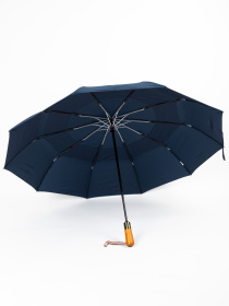 Парасольки Famo модель PK-A-3236_01 Фото