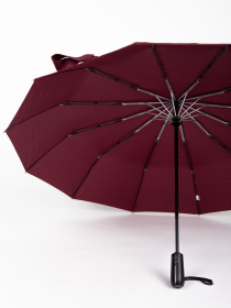 Зонты Famo модель PK-A-3260_02 Фото