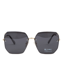 Очки Famo модель E3325P_02 Фото