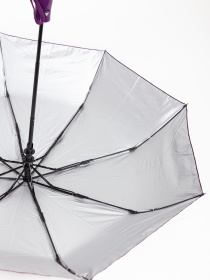 Парасолька Famo модель PK-NA-614_01 Фото