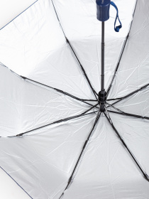 Зонты Famo модель PK-NA-614_04 Фото