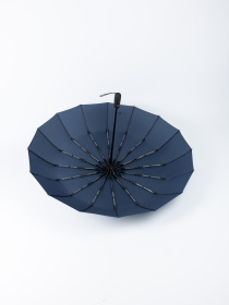 Зонты Famo модель PK-A-39160_05 Фото