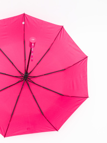 Зонты Famo модель PK-NA-119_06 Фото