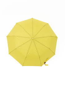 Зонты Famo модель PK-NA-119_11 Фото