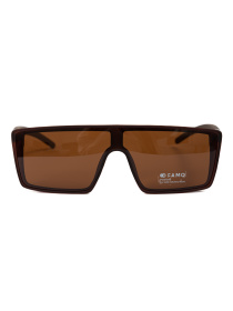 Солнцезащитные очки Famo модель E1848P_02 Фото