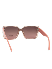 Очки Famo модель E1865P_02 Фото