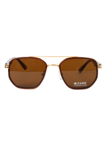 Очки Famo модель E522_02 Фото