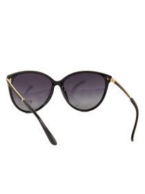 Очки Famo модель E05075P_01 Фото