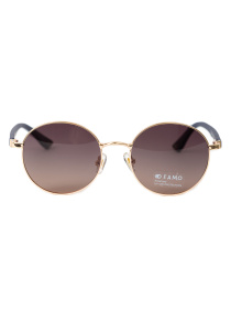 Солнцезащитные очки Famo модель E8253P_05 Фото