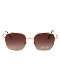 Солнцезащитные очки Famo модель E5837_05 Фото