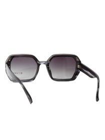 Окуляри Famo модель A6051_01 Фото