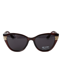 Очки Famo модель E318P_04 Фото