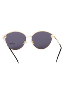 Окуляри Famo модель E5199_01 Фото