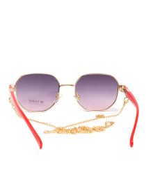 Окуляри Famo модель E5335_03 Фото