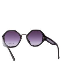 Очки Famo модель E2057_01 Фото