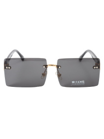 Окуляри Famo модель E2573_01 Фото