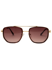 Окуляри Famo модель E2003_05 Фото