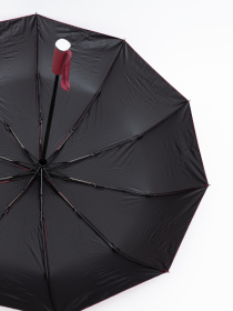 Зонты Famo модель PK-A-8077_06 Фото