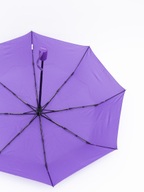 Зонты Famo модель PK-A-945_03 Фото