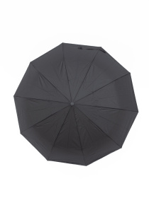 Зонт Famo модель PK-NA-3253V_01 Фото