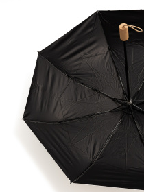 Зонты Famo модель PK-M-2401_02 Фото