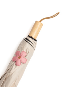 Зонты Famo модель PK-M-2402_01 Фото