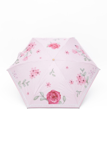 Парасолька-тростина Famo модель PK-M-2408_01 Фото